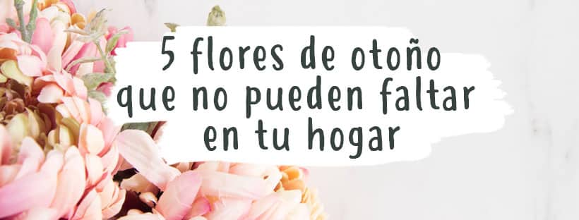 5 Flores De Otoño Que No Pueden Faltar En Tu Hogar