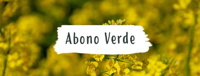 Abono Verde: ¿Qué Es Y Para Que Se Utiliza?