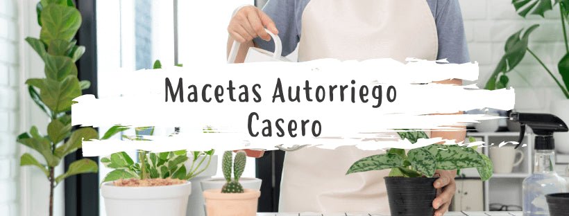 Autorriego En Macetas Casero Paso A Paso