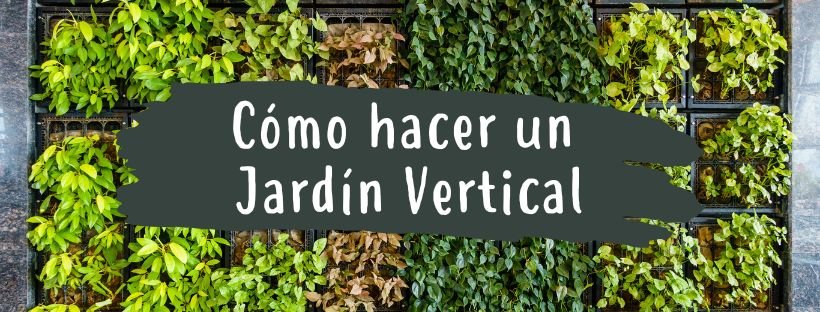 Cómo Hacer Un Jardín Vertical En Casa