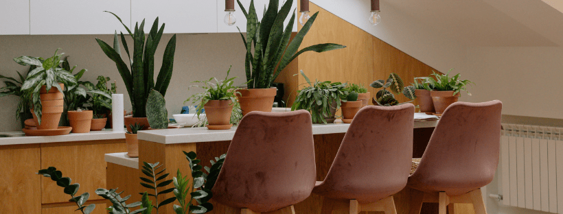 Ideas Para Decorar Con Macetas Para Plantas De Interior