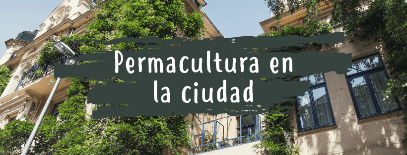 La Importancia De La Preservación De La Fauna Y Flora