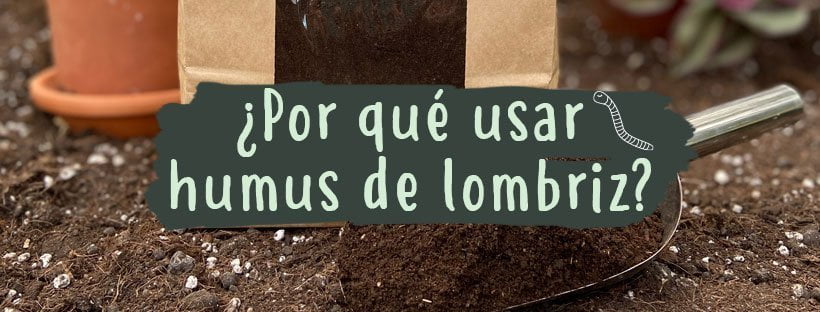 ¿Por Qué Usar Humus De Lombriz En Mis Plantas?