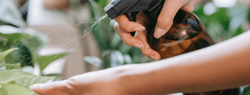 Todo Lo Que Necesitas Saber Sobre Pulverizar Plantas