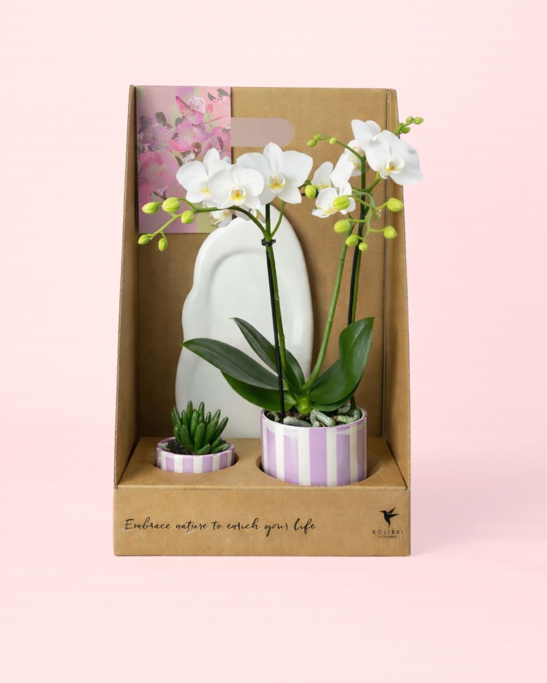 Gift Set lilac Packaging