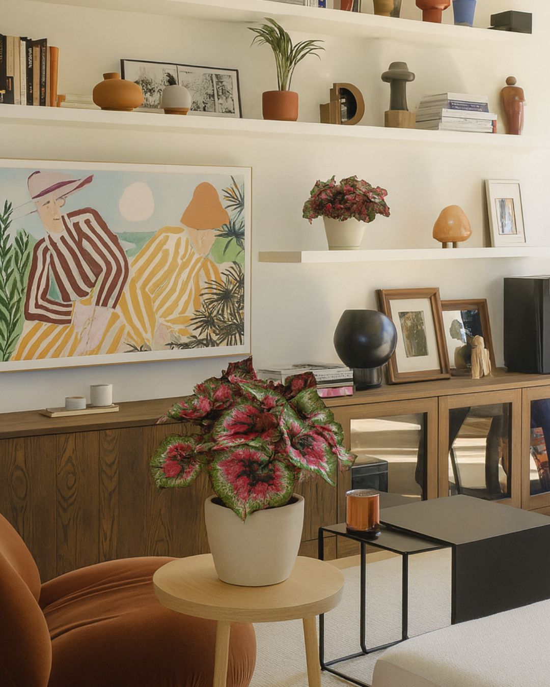 Begonia-Rex-Macarena-contexto