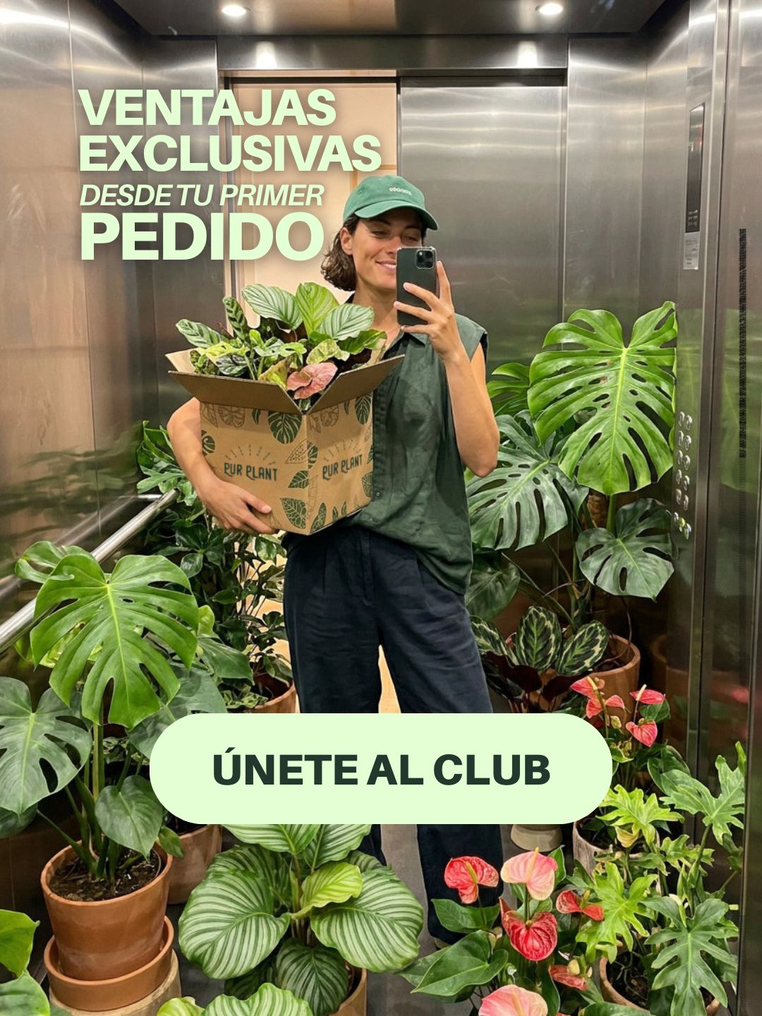 Banner del club Pur Plant en la página de inicio