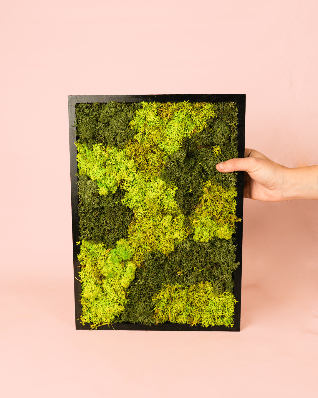 Jardín Vertical Cuadro L