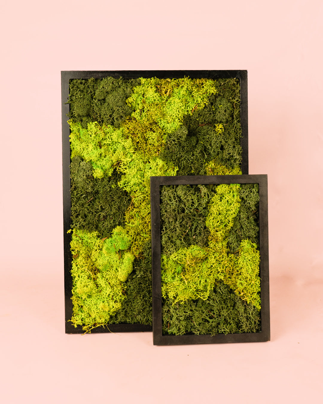 Jardín Vertical Cuadro L grupo