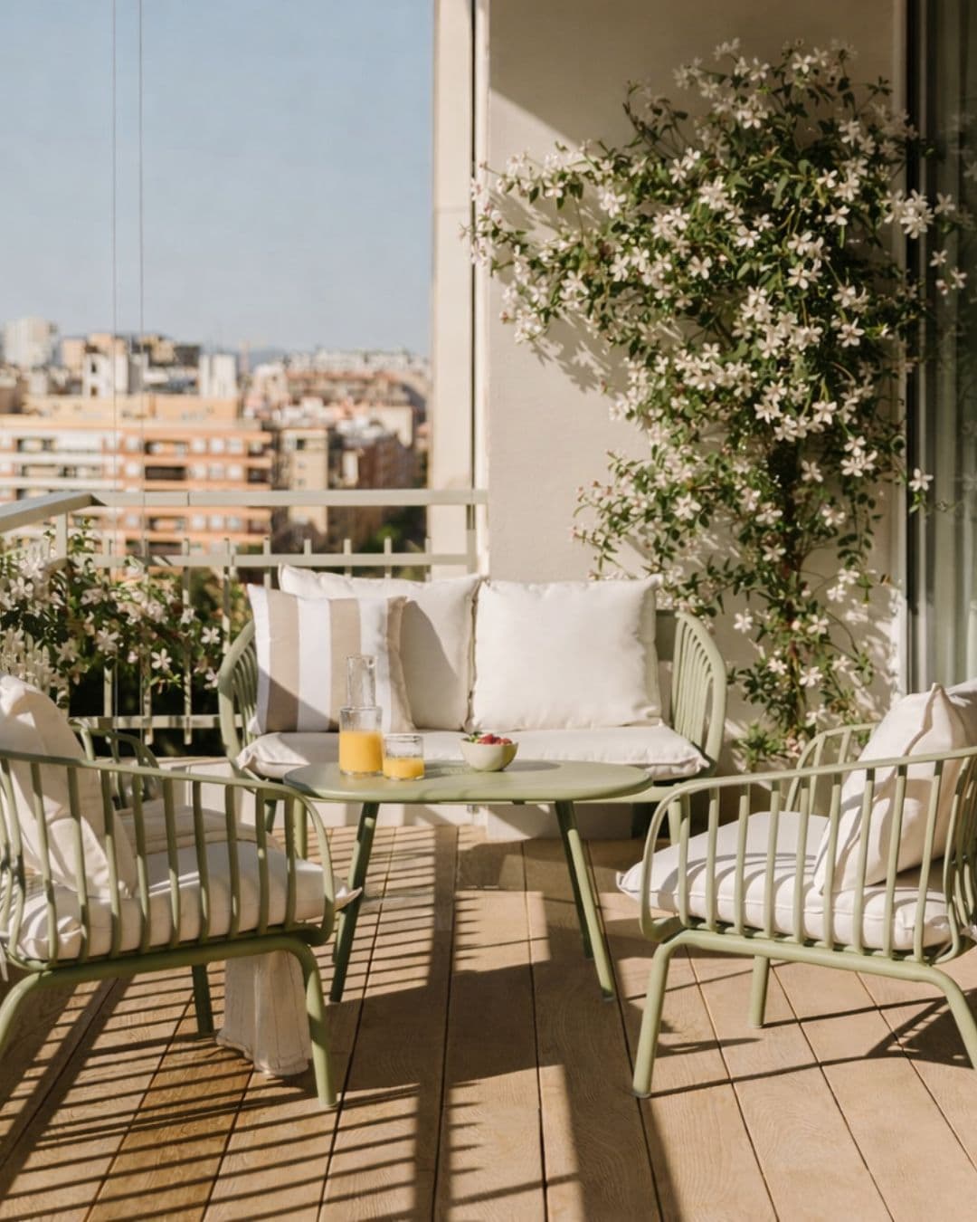 Jasminum Officinale - Jazmín Común Mini