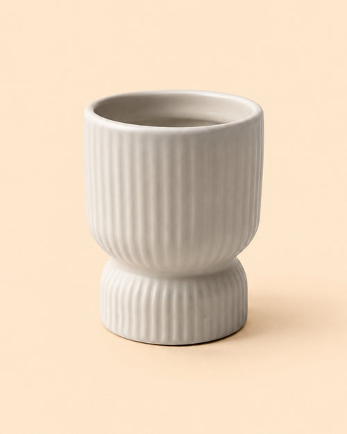 Jolie-crema-maceta-mini
