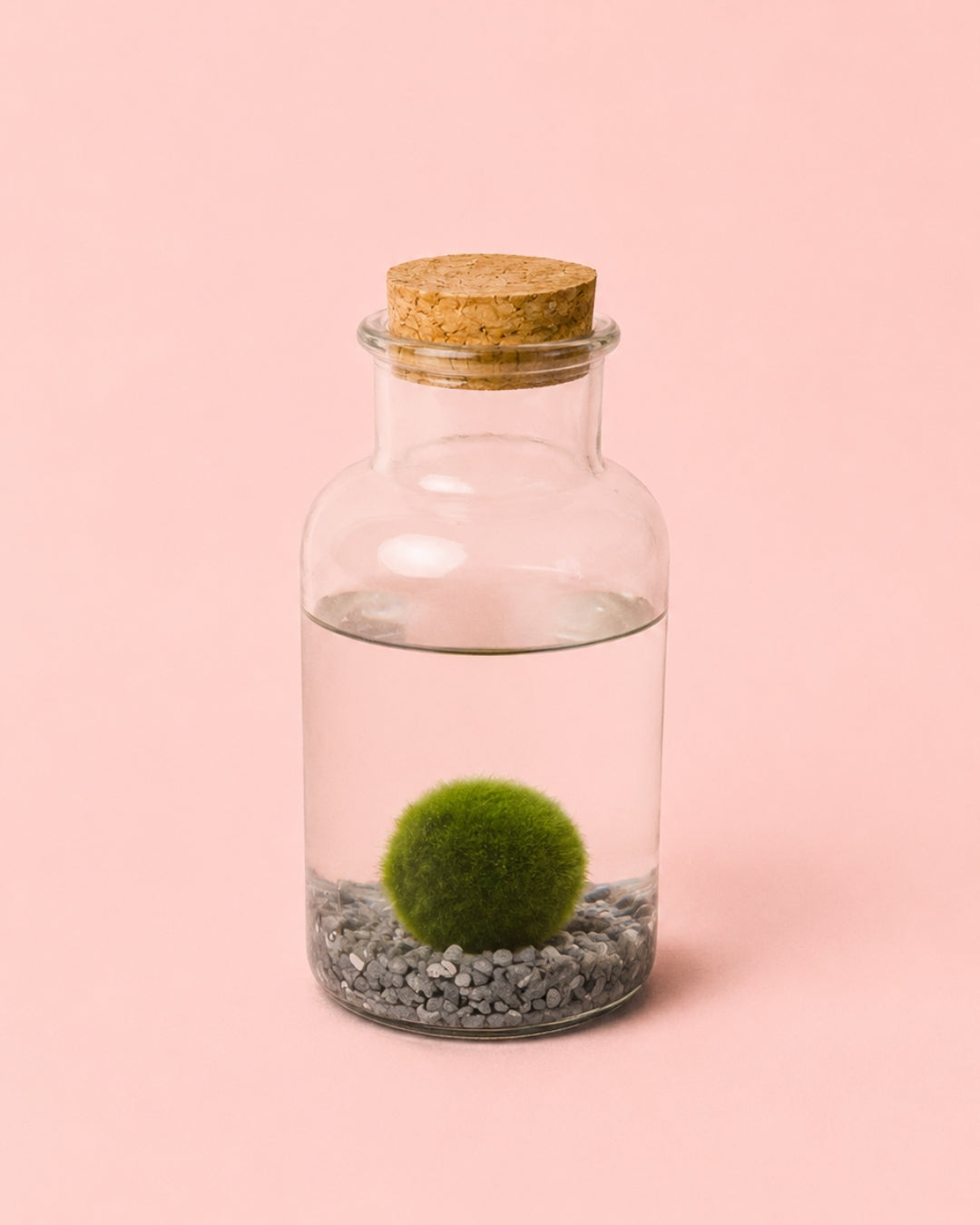 Marimo Ball