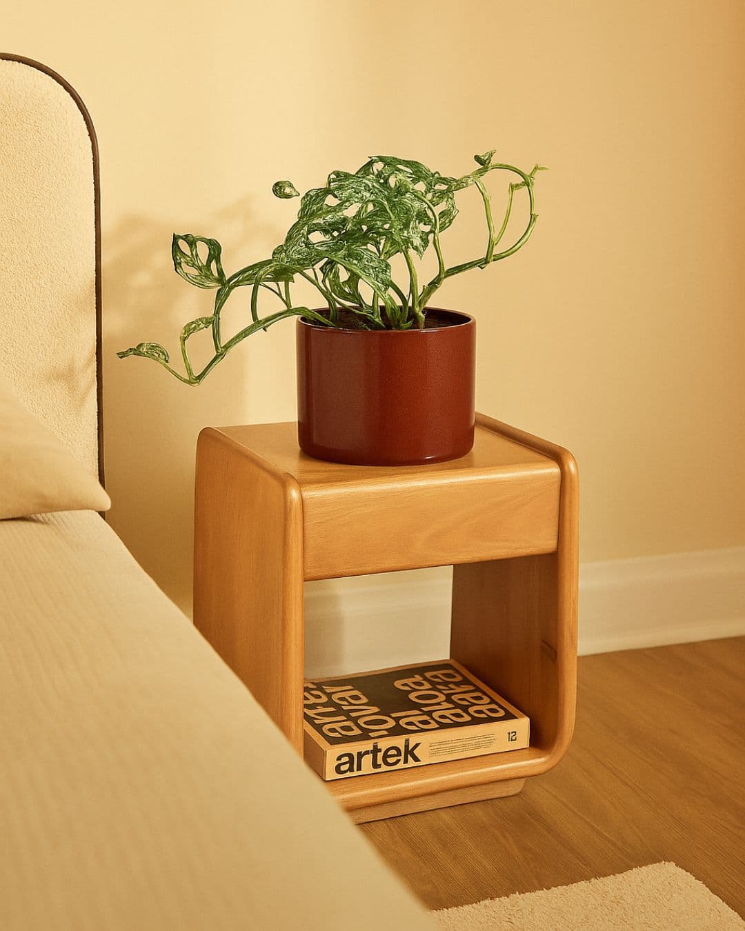 Monstera Frozen Freckles contexto