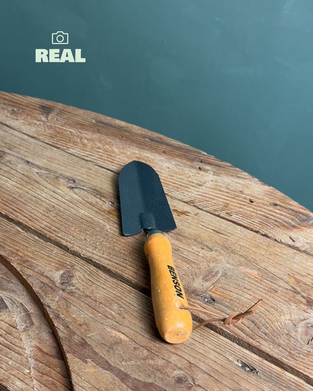 Pala-benson-real