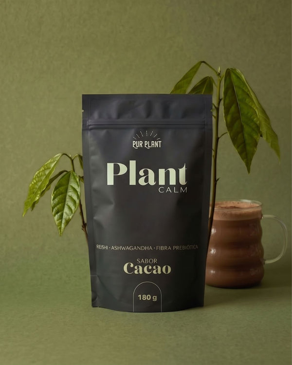 Plant_Calm_Cacao_vaso