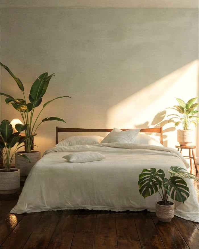 Plantas_para_el_Dormitorio