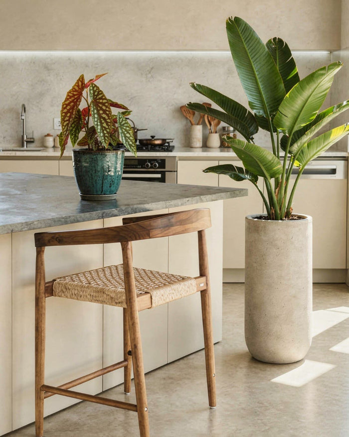 Plantas_para_la_Cocina