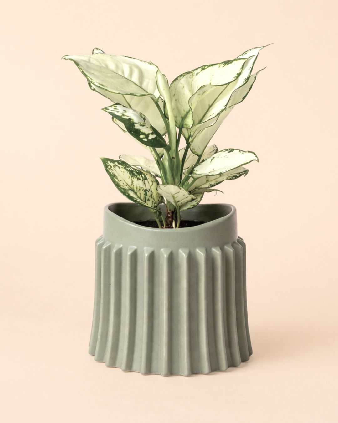 Raw - Maceta Cerámica Gris M 12 cm