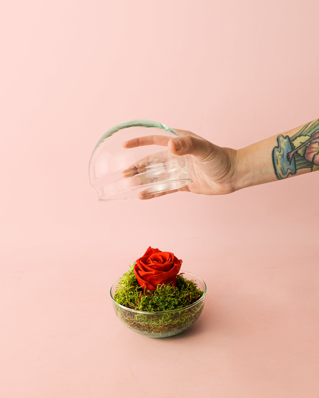 Rosa-eterna-mini-bol2