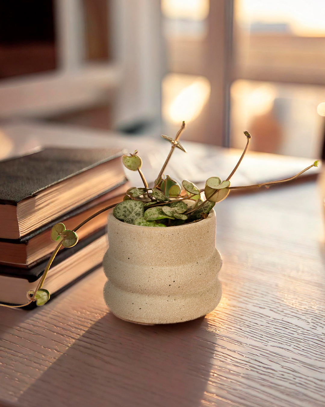 Wave -Mini Maceta Cerámica grey contexto