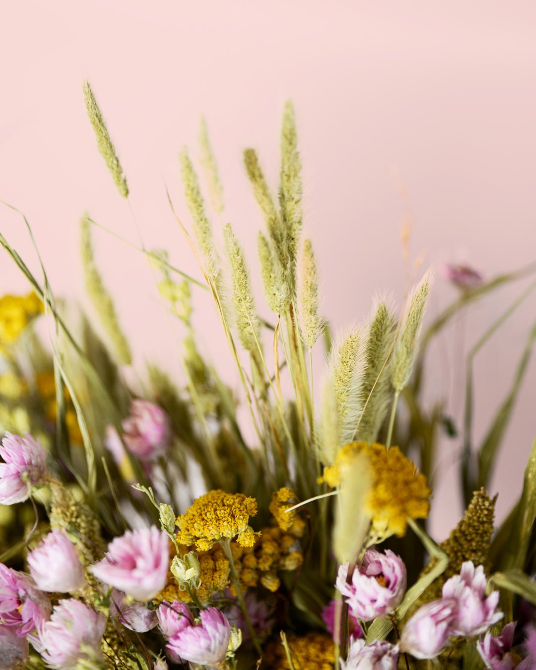 Aix – Ramo Flores Secas Naturales - Pur Plant