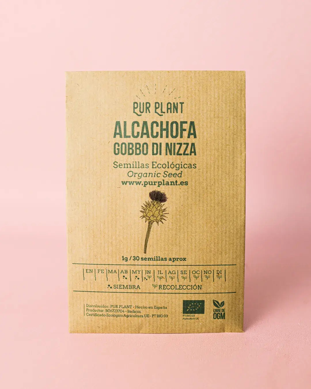 alcachofa-globo