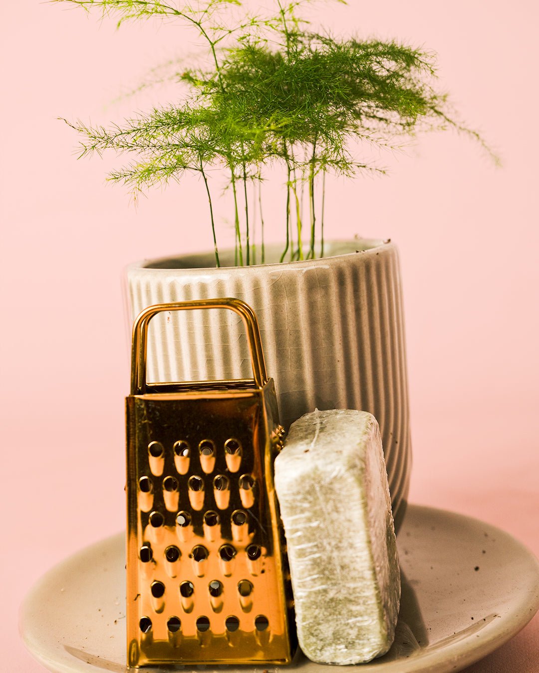 Ambientador Sostenible Blanco con Mini Planta - Pur Plant