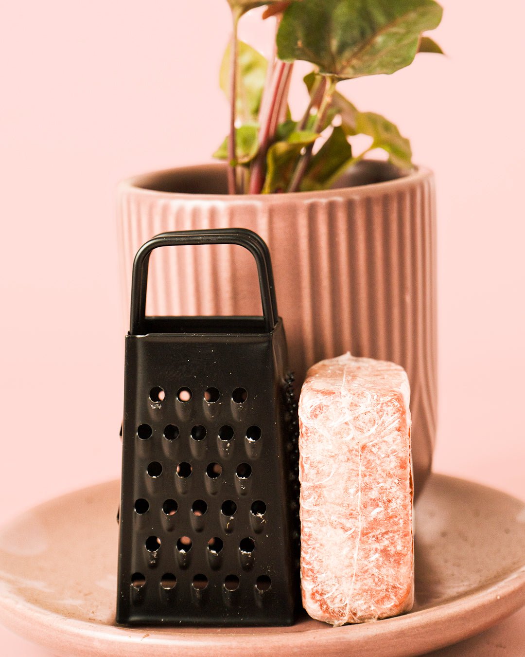 Ambientador Sostenible Rosa con Mini Planta - Pur Plant