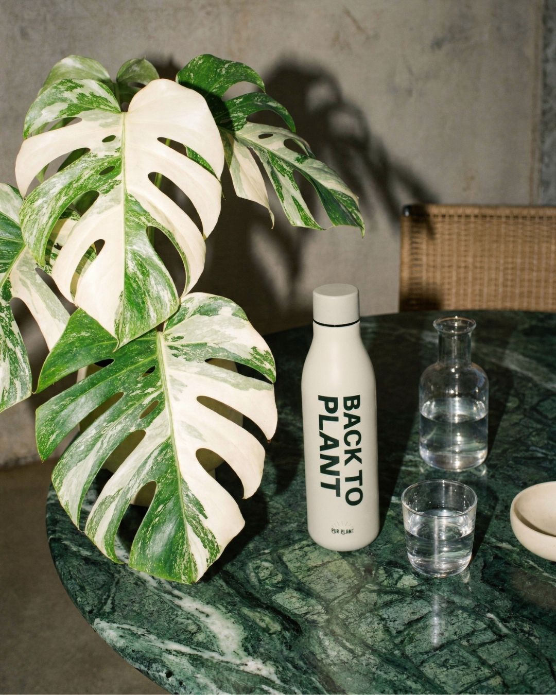 botella_termica_back_to_plant_500ml_con_plantas