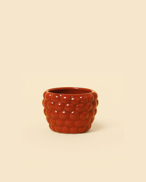 Bubble – Mini Maceta Roja 6 cm - Pur Plant