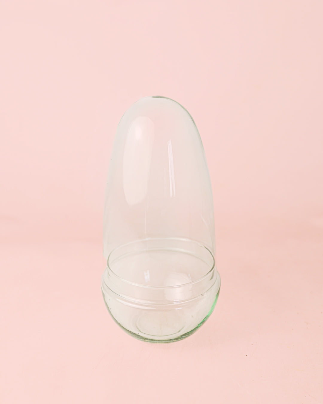 capsula-terrario-bol