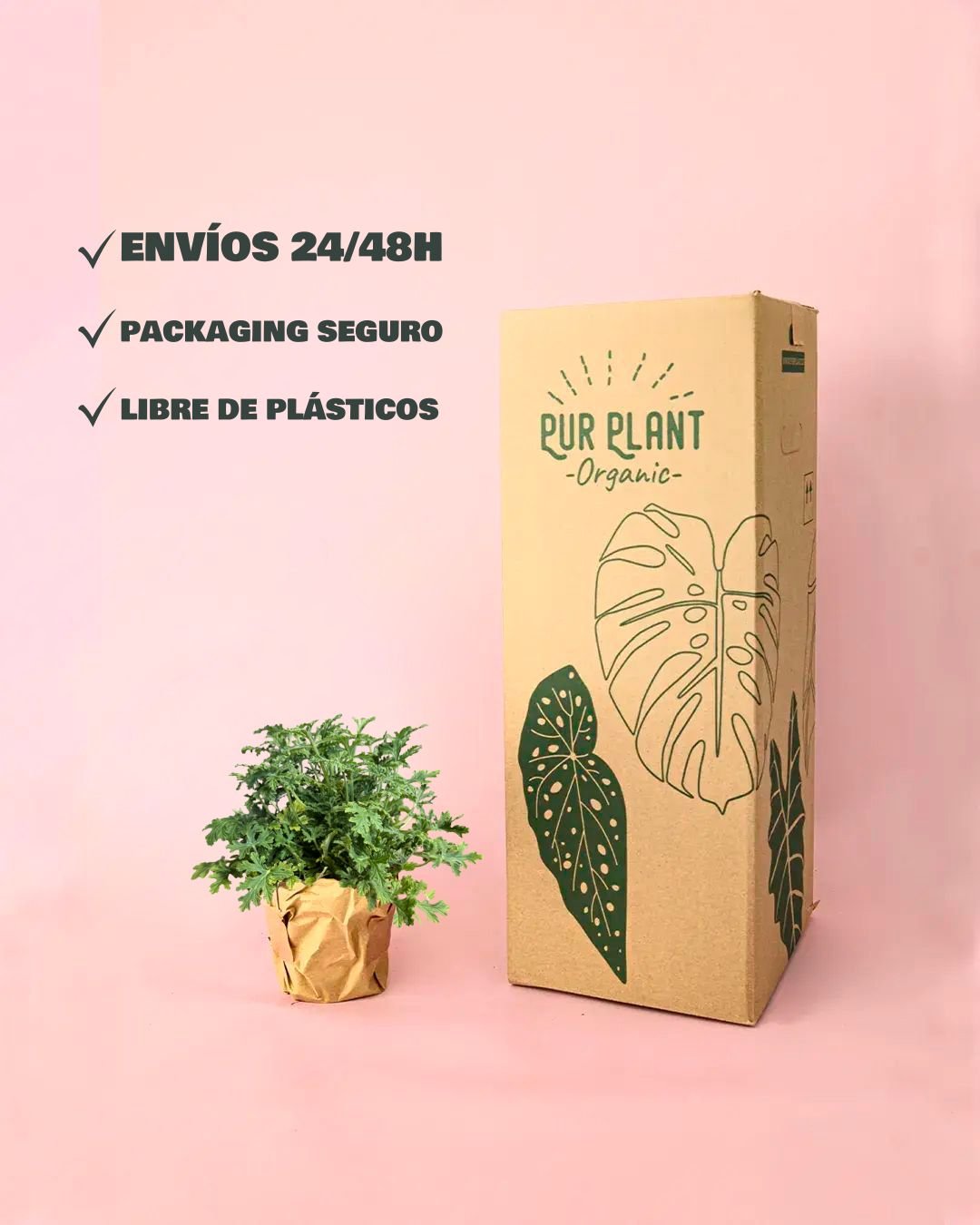 Citronela Natural Antimosquitos M - Pur Plant