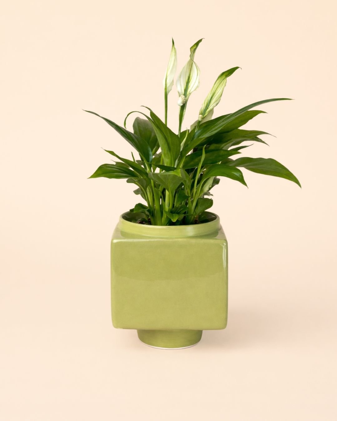 Cube – Mini Maceta Cerámica Verde Claro 9 cm - Pur Plant