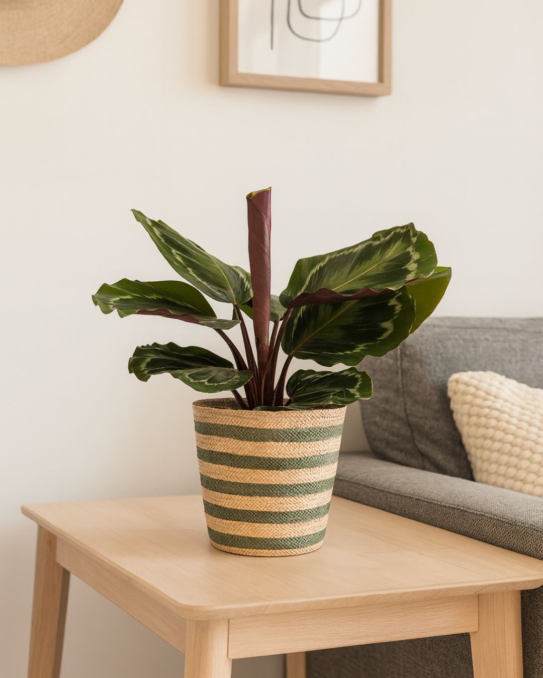 cubremacetas-verde-grande-contexto