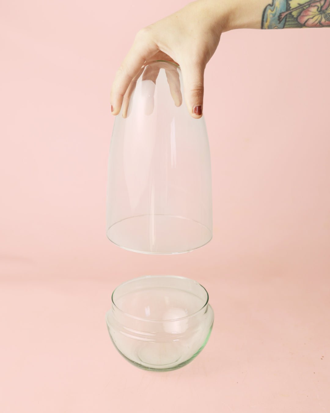 Cúpula Terrario Bol 12×26 - Pur Plant