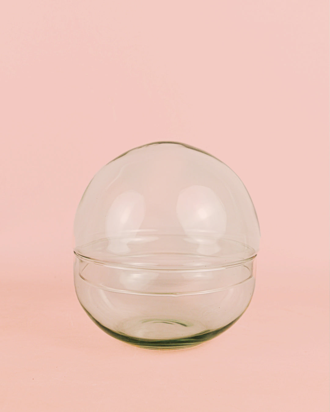 domo-terrario-bol-20x20