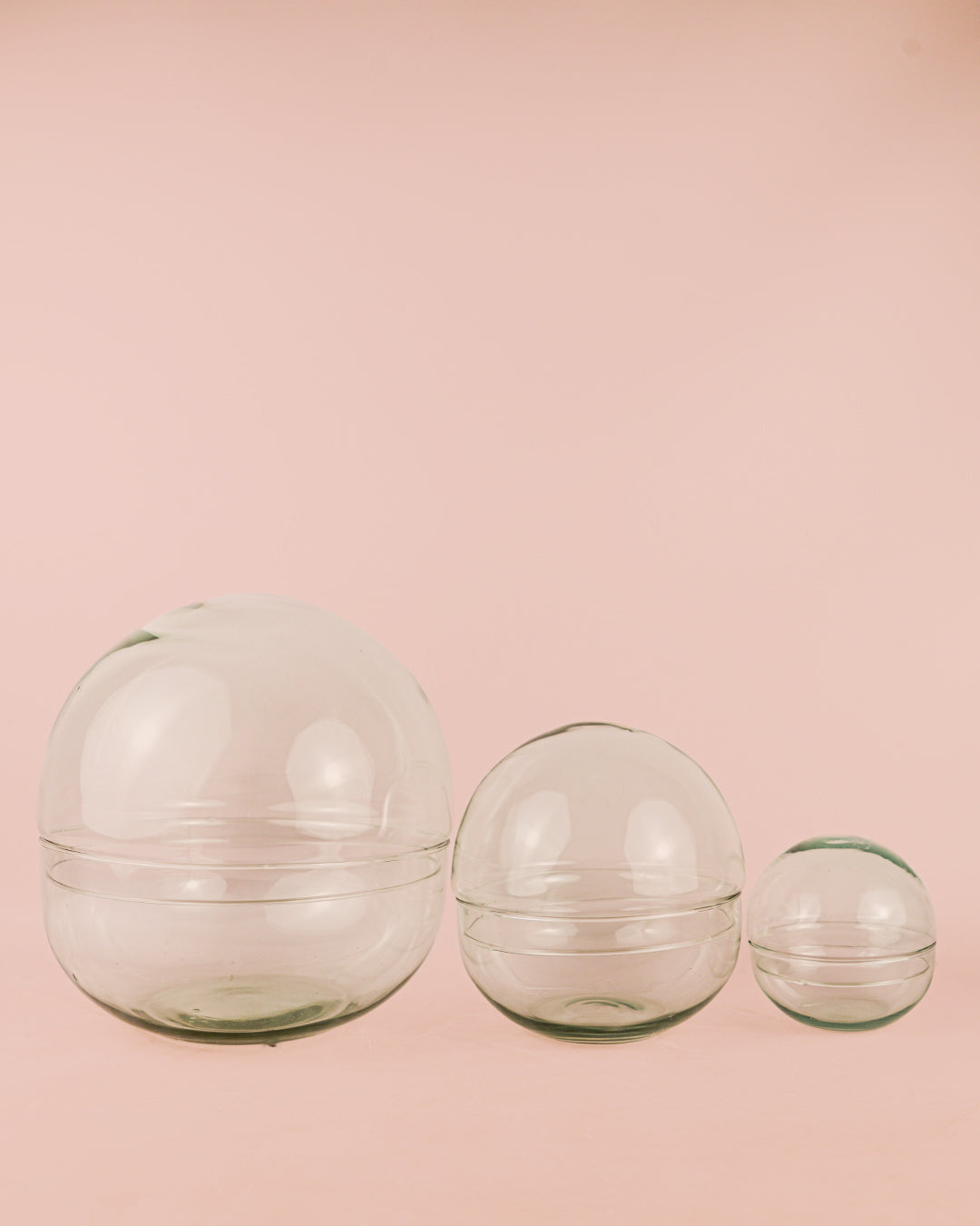 domos-terrarios-vidrio