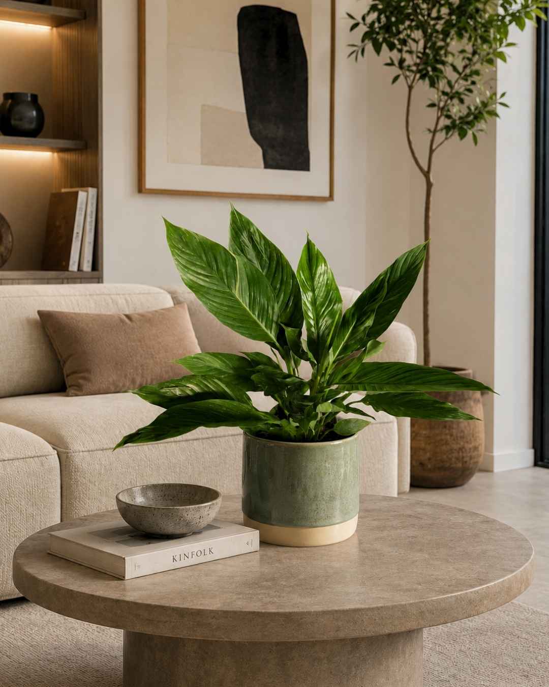Espatifilo Variegado Diamond - Lirio de la Paz M - Pur Plant