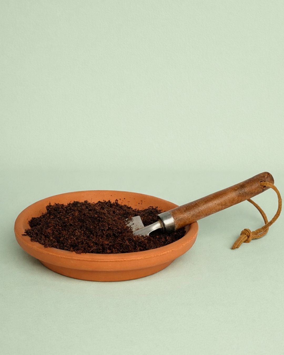 fibra de coco sustrato