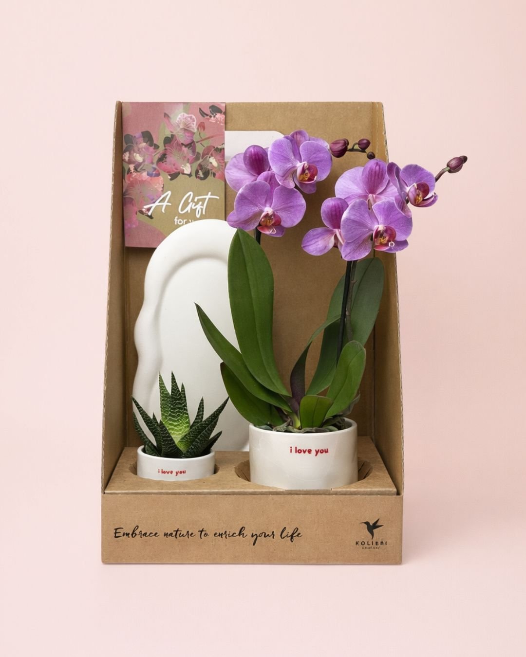 Gift Set Love – Orquidea y Suculenta Con Maceta - Pur Plant