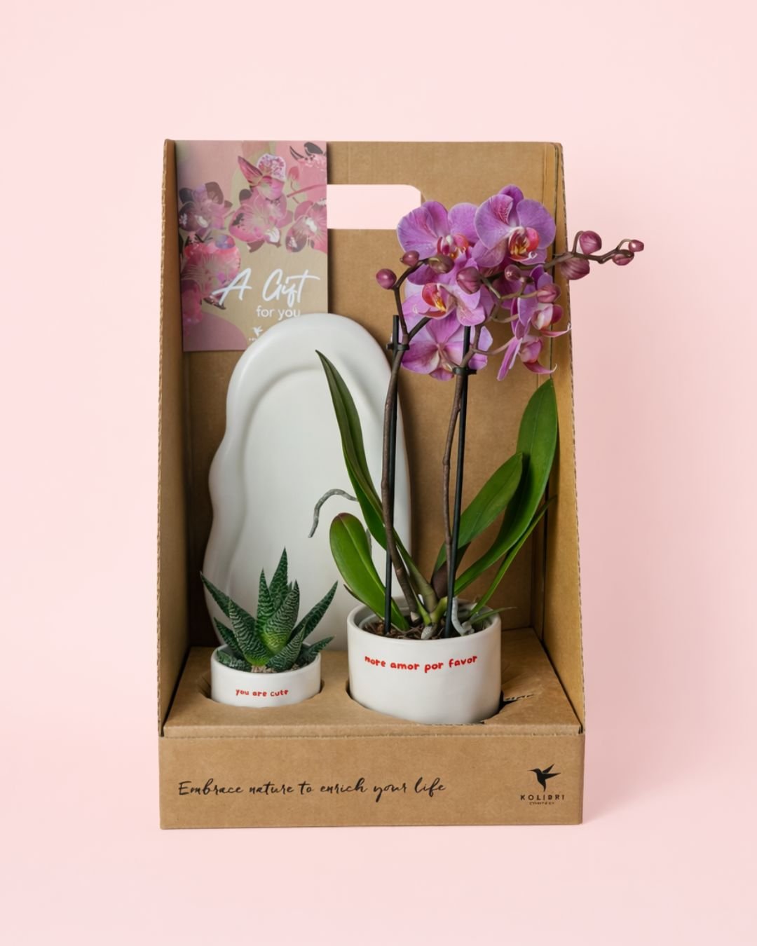 Gift Set Love – Orquidea y Suculenta Con Maceta - Pur Plant