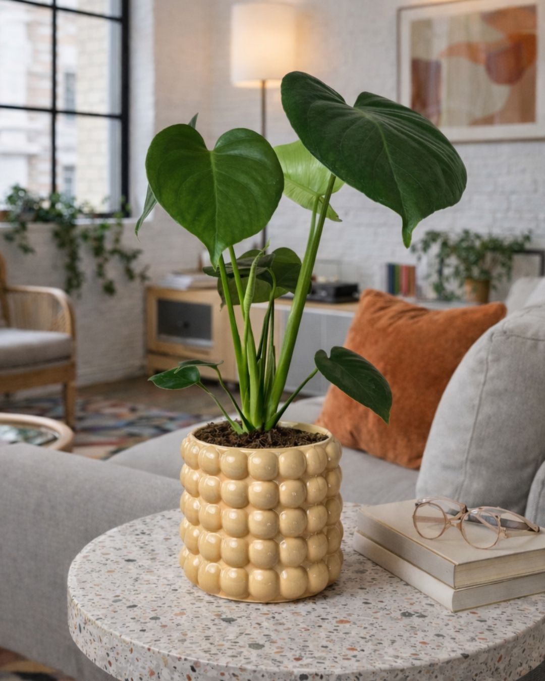 poppy-amarilla-contexto