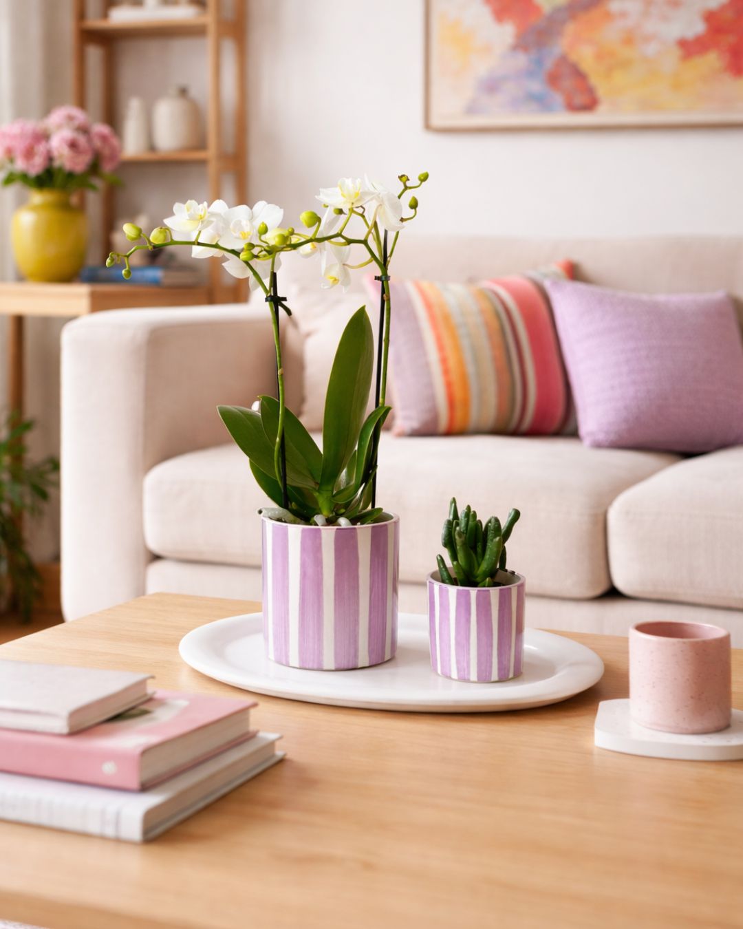 Gift Set Purple - Orquidea y Suculenta Con Maceta - Pur Plant