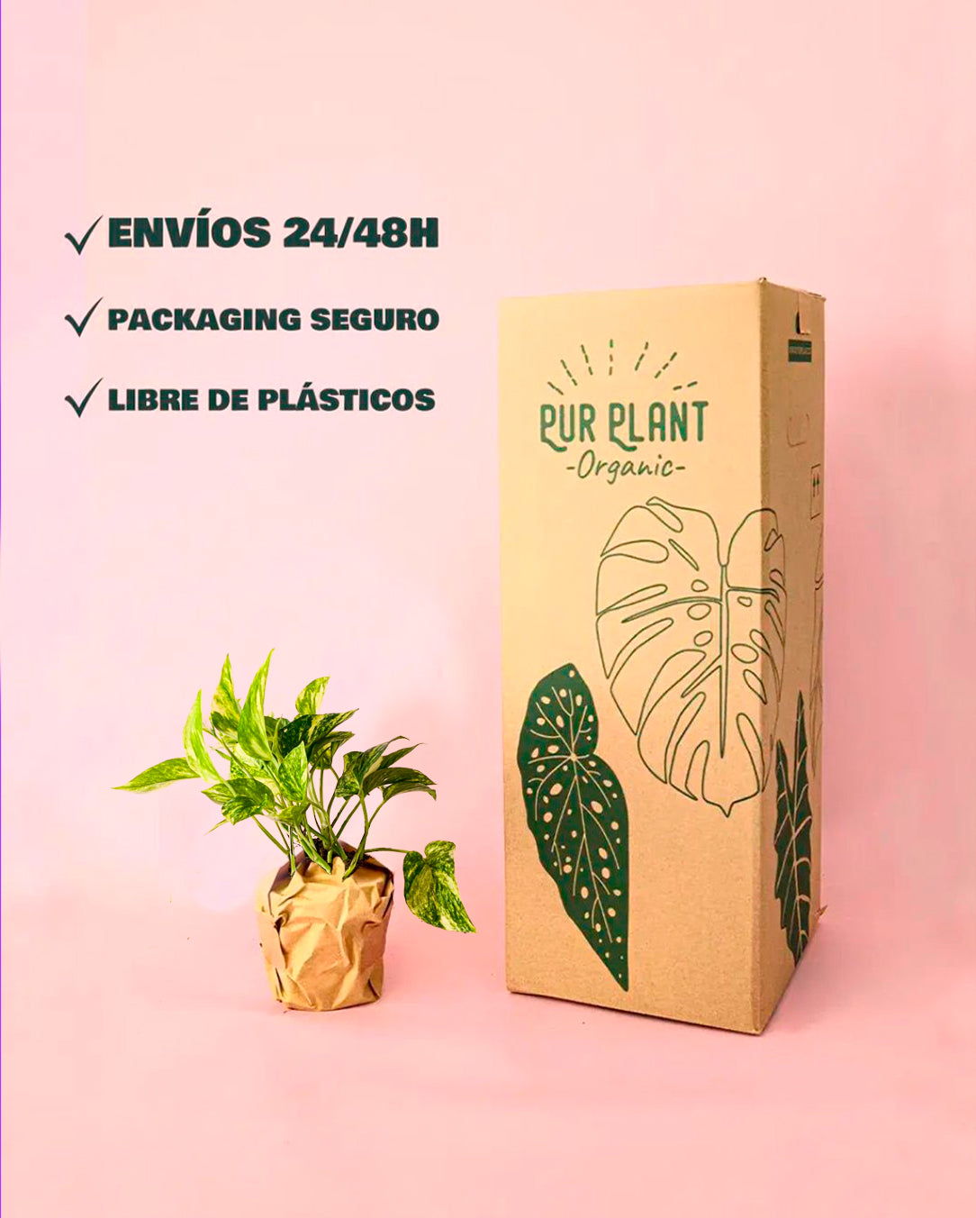 golden photo-packaging