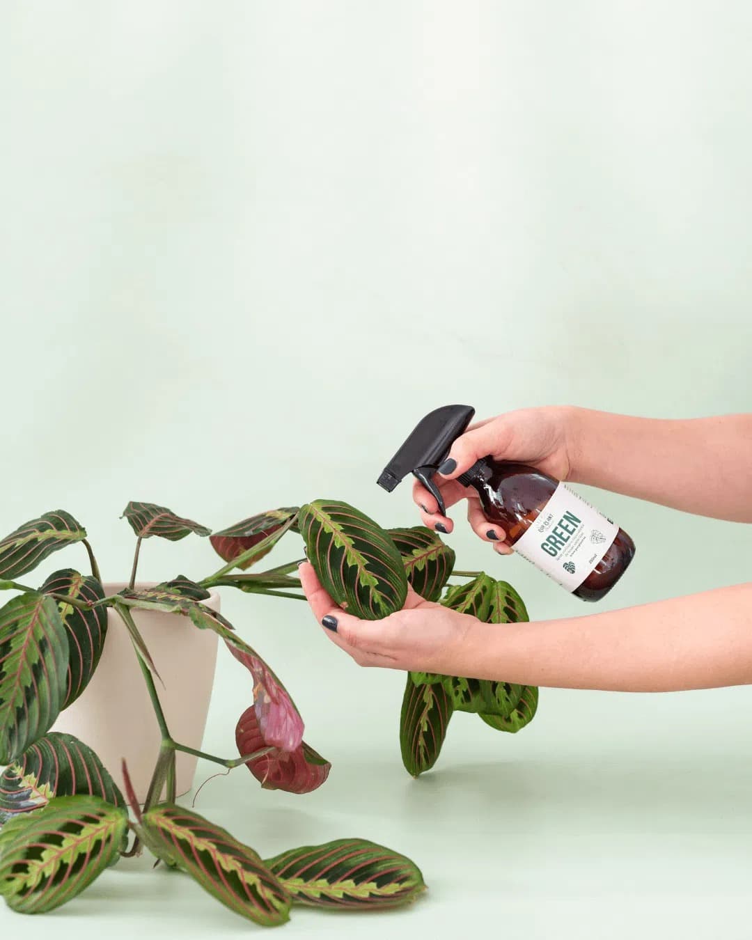 Green – Spray Reparador de Hojas Amarillas 250ml - Pur Plant