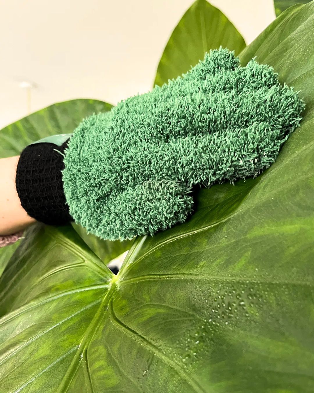 guantes limpiar hojas plantas