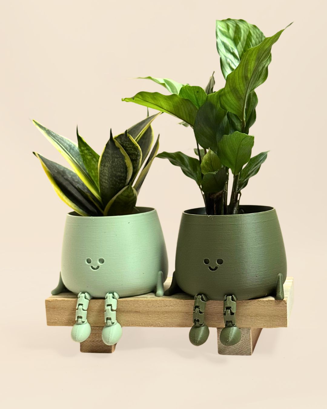 happy pot verde pastel juntas