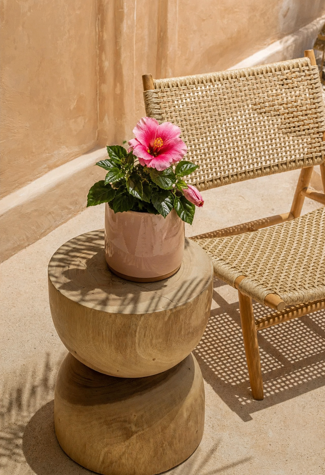 hibiscus-flor-mix-mini-context