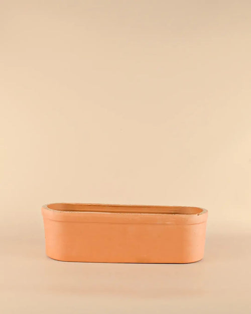 Jardinera Terracota - Pur Plant