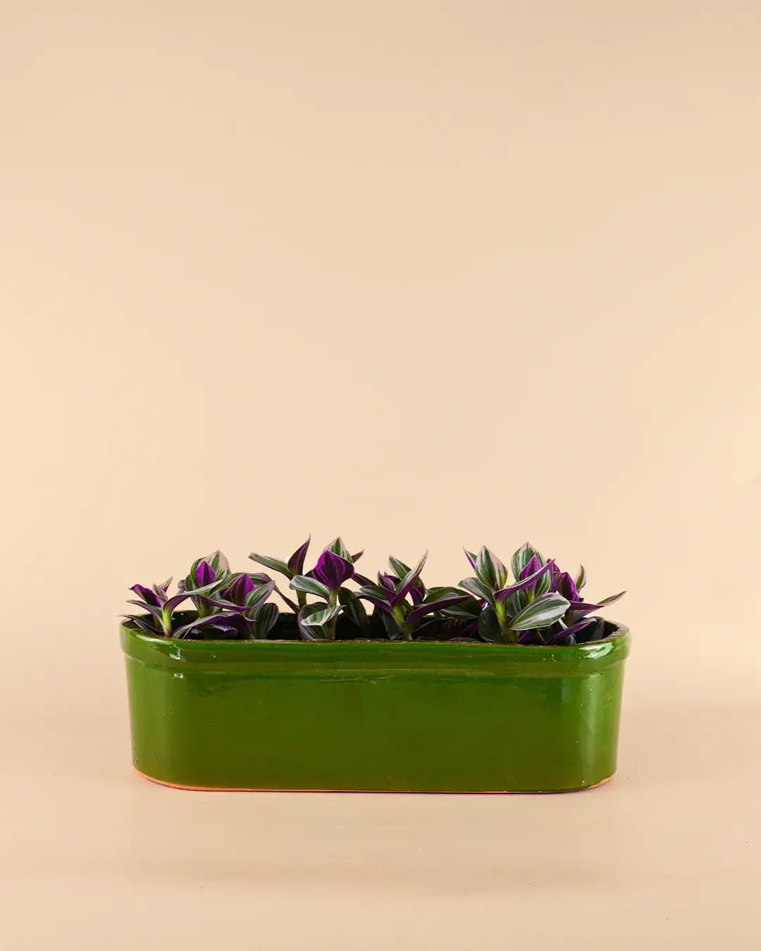 Jardinera Verde - Pur Plant
